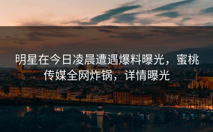 明星在今日凌晨遭遇爆料曝光，蜜桃传媒全网炸锅，详情曝光