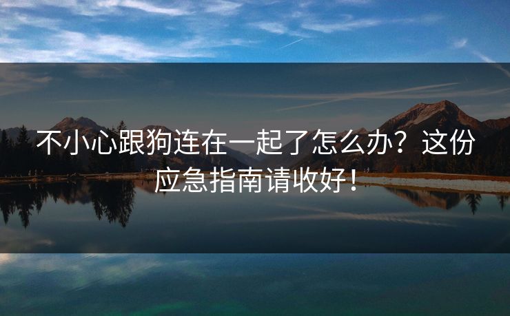 不小心跟狗连在一起了怎么办?这份应急指南请收好! 不小心跟狗连在一起了怎么办?这份应急指南请收好!